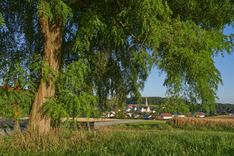 Gemeinde Reut Landkreis Rottal-Inn Taubenbach Aussicht Bank Akazie (Dirschl Johann) Deutschland PAN